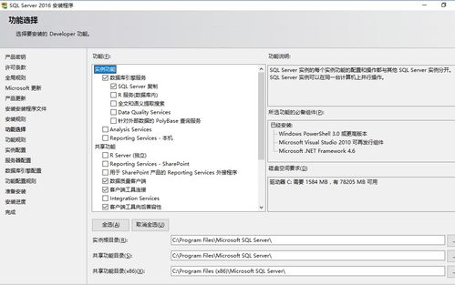 1. 网站选择的重要性
