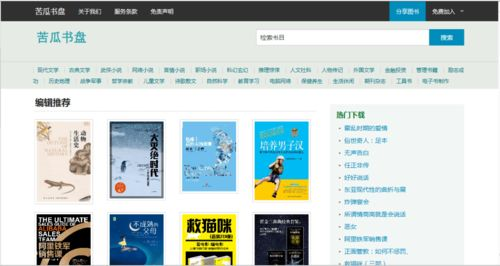 2. 网站A：提供丰富国语大片资源