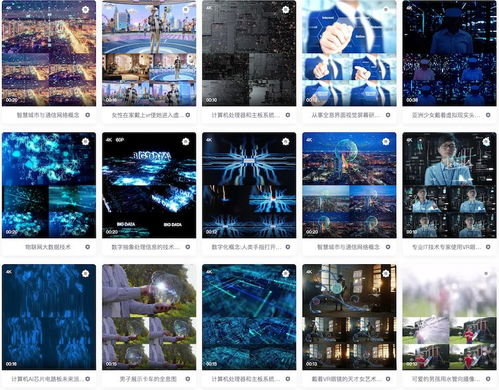 4. 网站C：高清画质与流畅播放