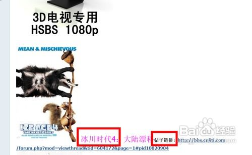 4. 网站D：3D电影下载与在线观看