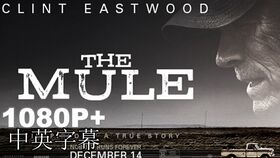 如何选择合适的720p高清电影