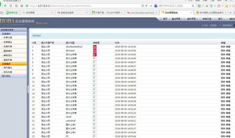 1. 网站服务器问题