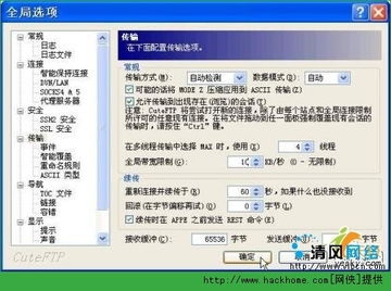 5. 地区网络限制