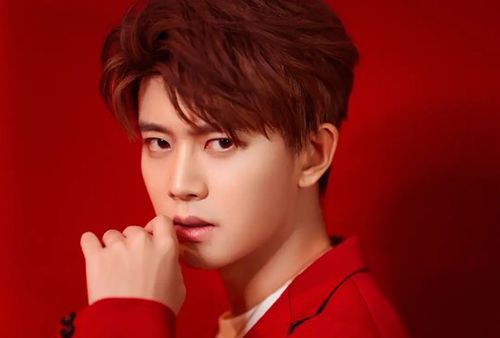 任嘉伦影视作品概览