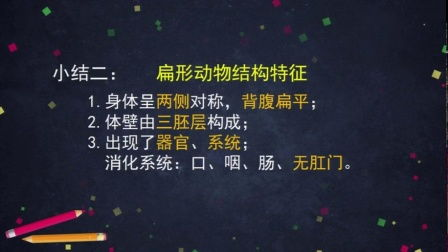 视频资源的多样性