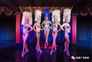 日本另类人妖电影网站的观影体验