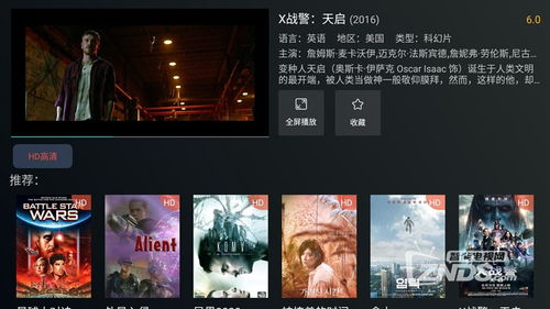 344电影网的播放体验