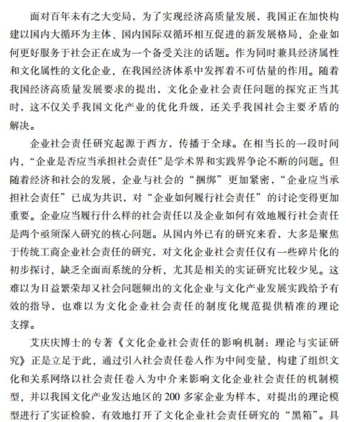 文化影响与社会责任