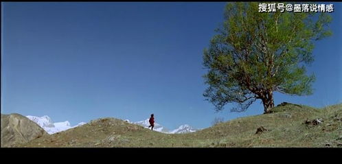 影片背后的文化意义