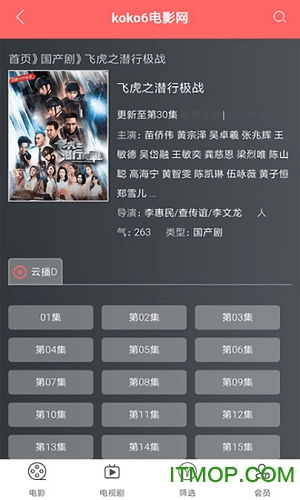 koko6电影网的特点