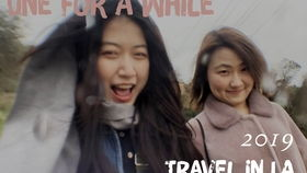 如何高效地在线观看