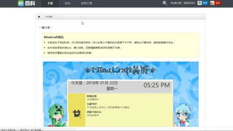 网站概述与特点