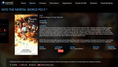 免费看院线电影网站的安全性考量