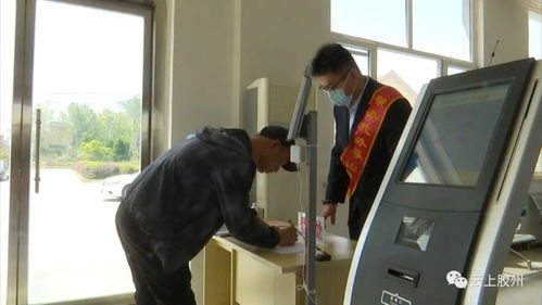 合法性与安全性的重要性