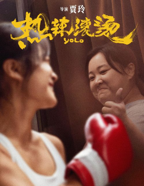 爱笑聚电影网的内容丰富性