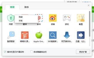使用安全浏览器和插件