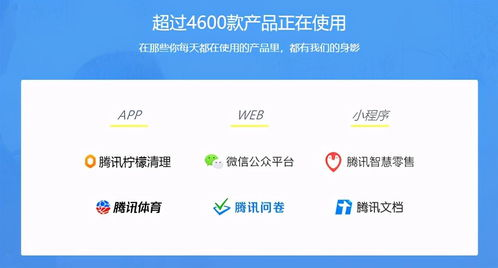 用户评价与社区反馈