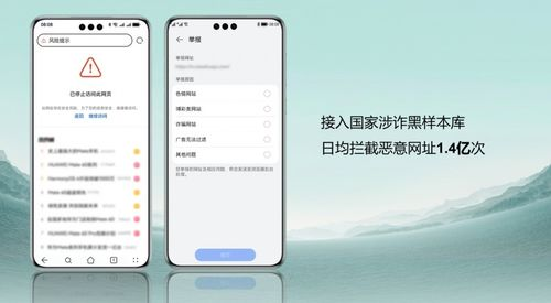 3. 网站安全与隐私保护