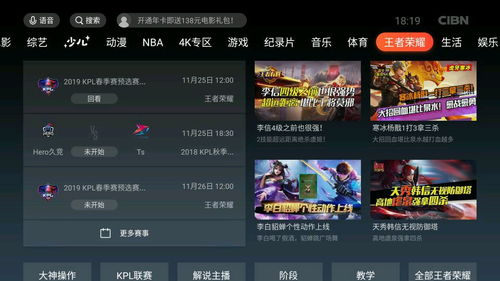 5. 播放流畅性与画质