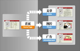 界面布局与视觉设计