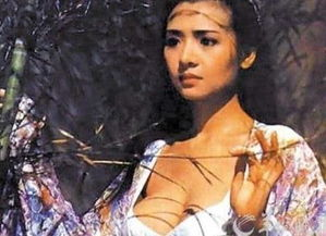 尺度电影网的优势