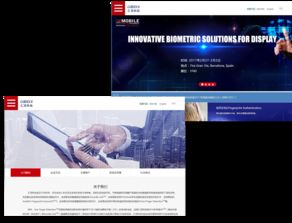 微电影网站点播赚钱的案例分析