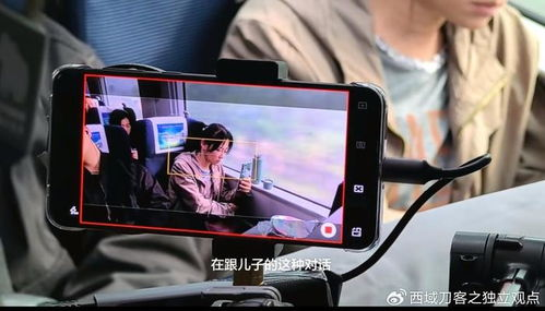 如何高效利用81s手机电影网