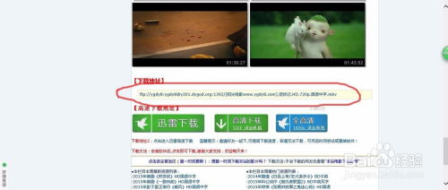 电影下载网站的合法性