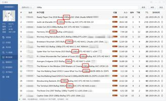 1080p蓝光电影网的用户体验