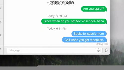 如何查询电影网络谜踪的放映时间