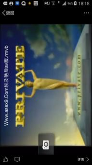 1788电影网的资源特点