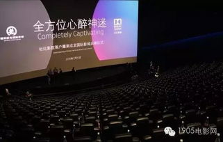 大多多电影网的播放体验