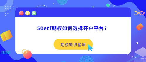 正规平台的选择