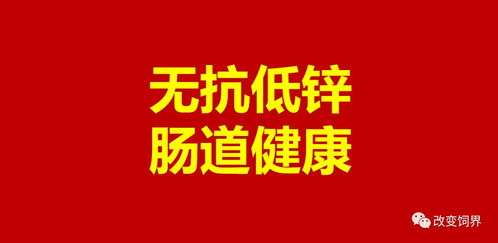 支持原创和正版