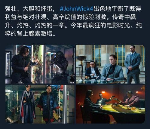 优酷电影网武打片热门新作介绍