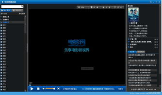 电影网播放器标准版的更新与维护