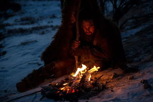 排名第二的电影：《荒野猎人》