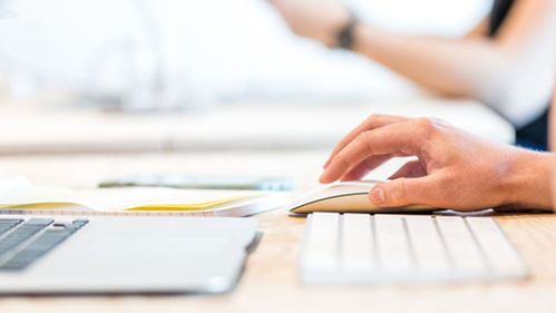 用户的责任与选择