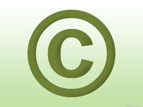 版权与法律遵守