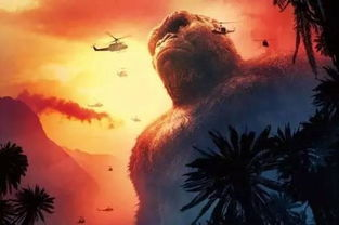 金刚骷髅岛背景介绍