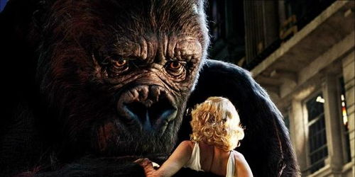 金刚骷髅岛特效评价