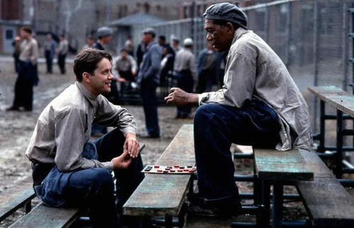 推荐电影网站3：烂番茄