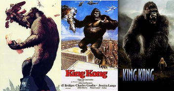 如何使用金刚骷髅岛飘花电影网