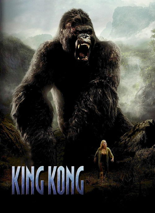 金刚骷髅岛飘花电影网的安全性