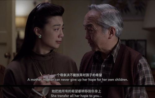 电影分类的细致性