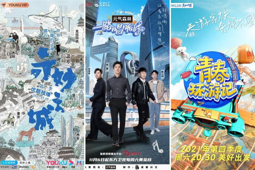 电影文化传播的新途径