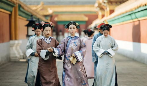 千千电影网延禧攻略资源