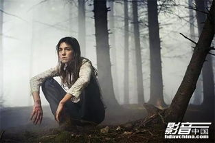 重口味电影的观影体验