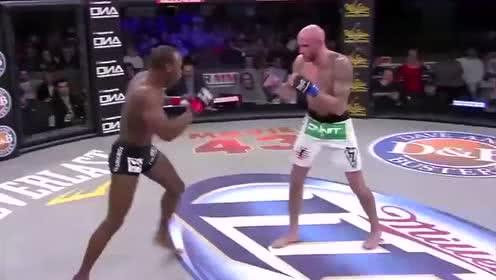 KO电影网的更新速度