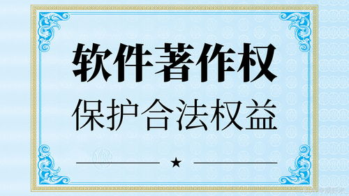 版权保护与合法性